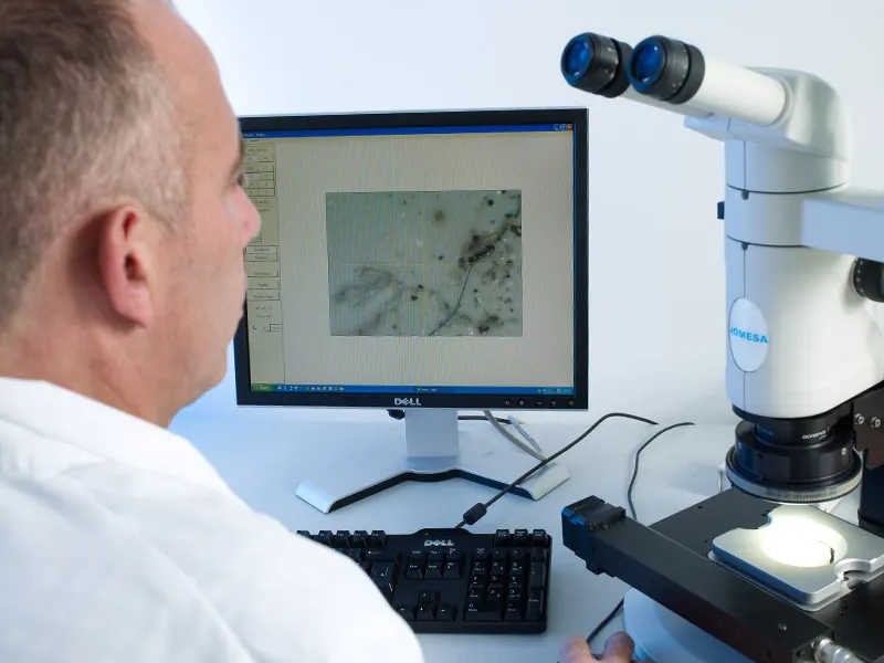 Mikroskopische Auswertung eines Analysefilters am Bildschirm